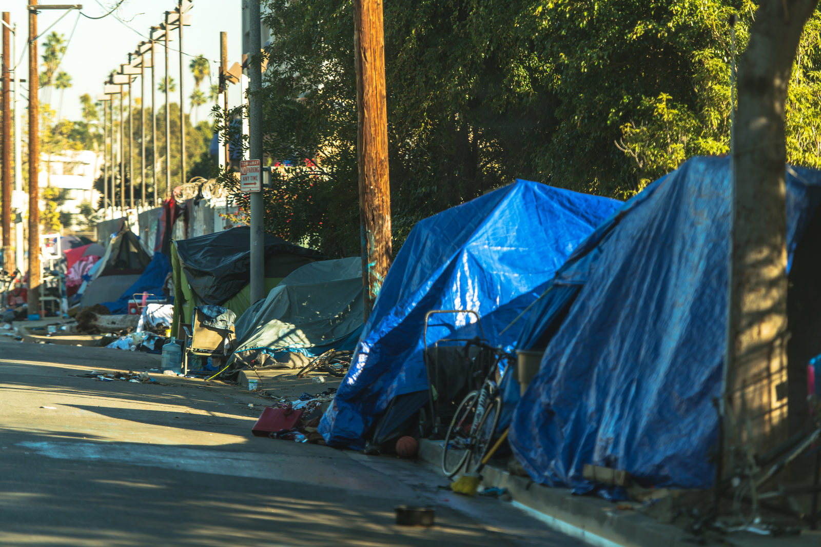 West Hollywood Homelessness Wild Tents Camp